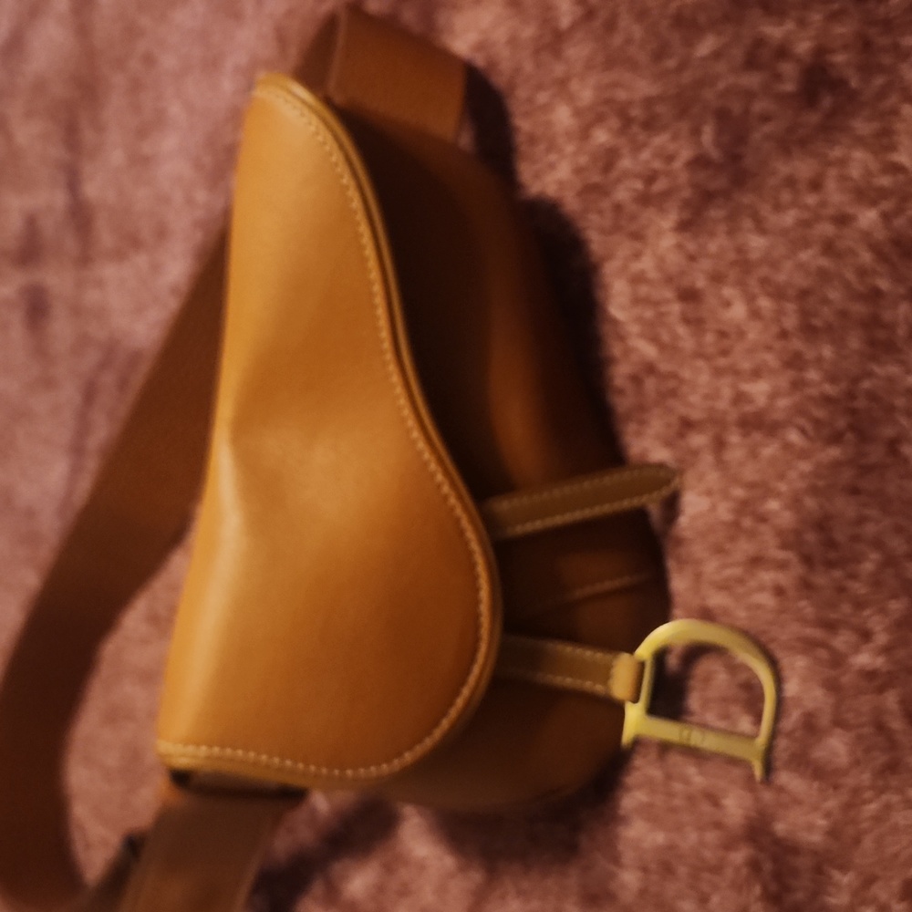 Dior leather saddle bag